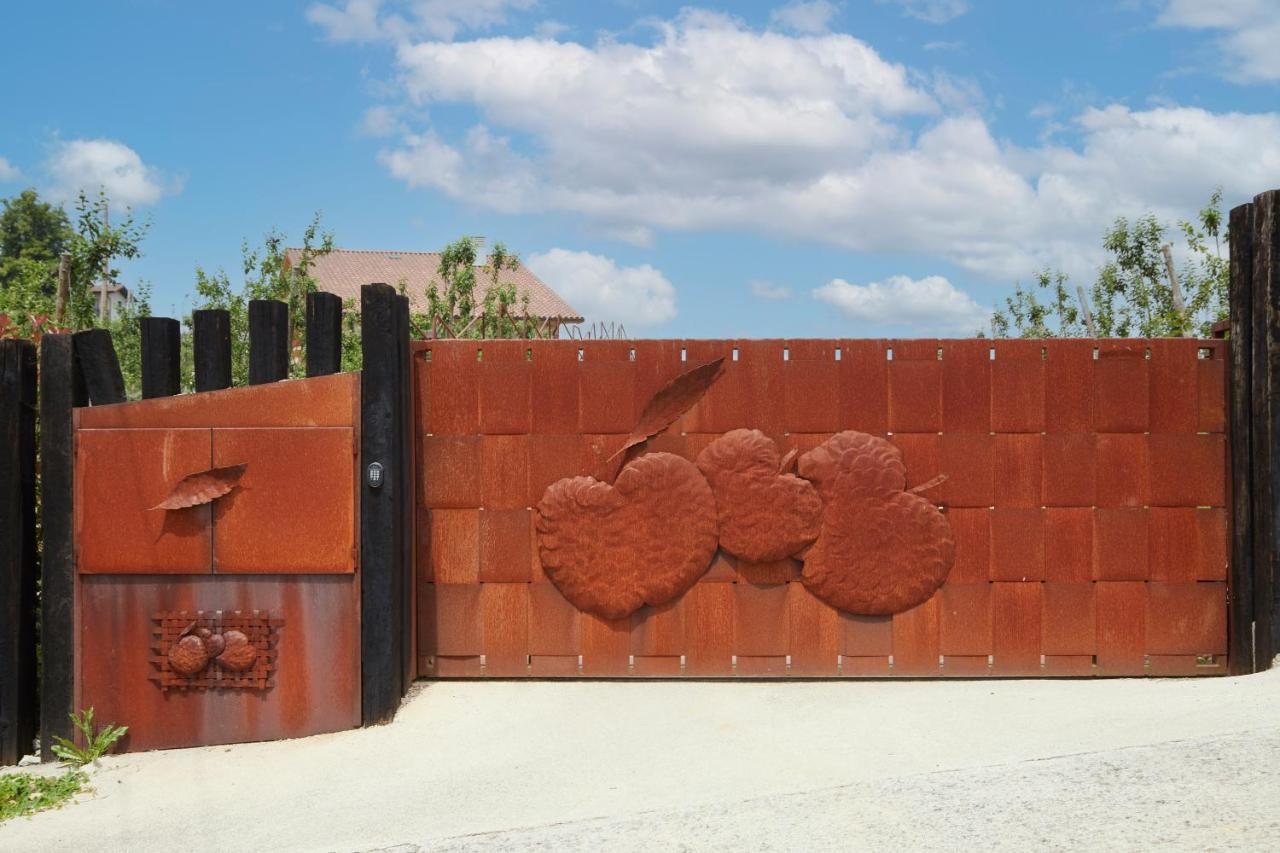 Casa rural Olivi1948 - Boutique *